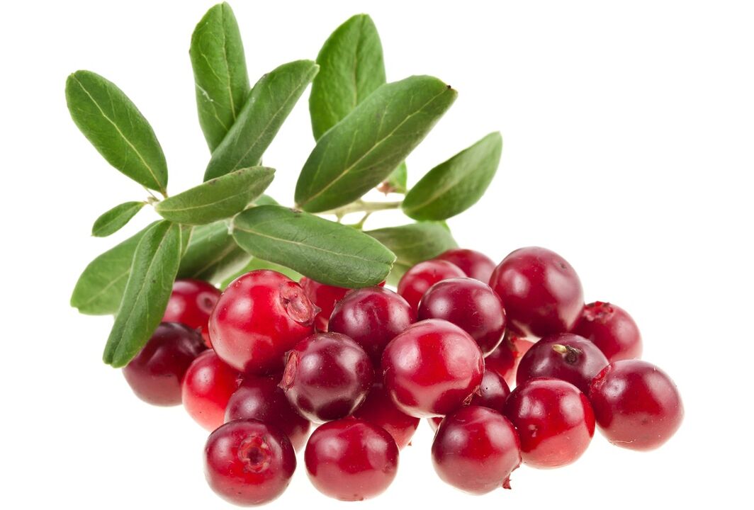 brusnica za liječenje cistitisa